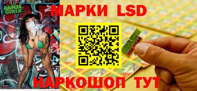 spice Гатчина