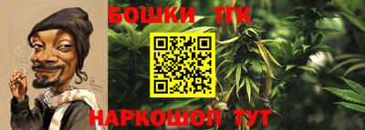 мдпв Гай
