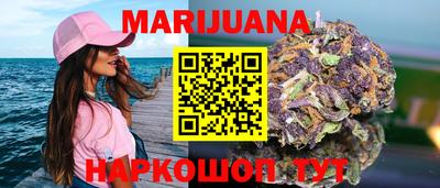 spice Гатчина