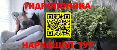 spice Гатчина