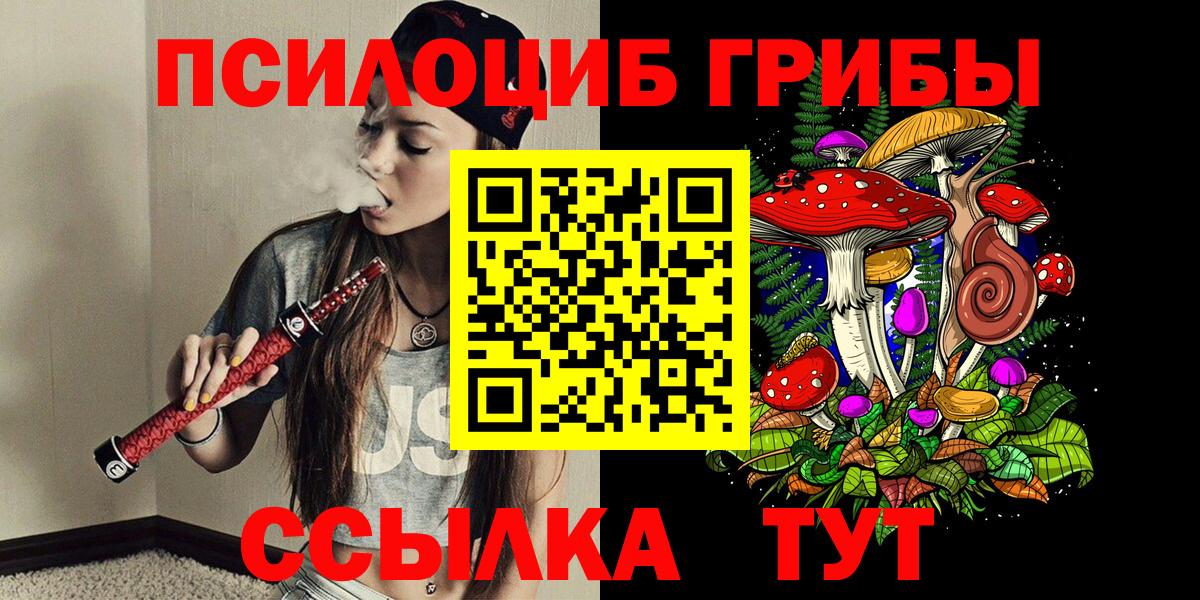 Гурьевск  Галлюциногенные грибы MAGIC MUSHROOMS  Псилоцибиновые грибы MAGIC MUSHROOMS  Вход с VPN 